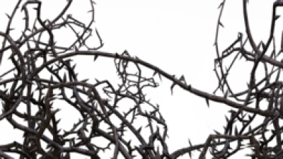 Crown of Thorns Transparent PNG