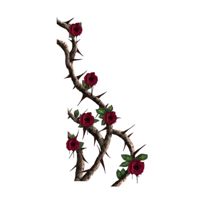 Crown of Thorns Transparent PNG