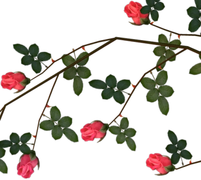 Crown of Thorns Transparent PNG