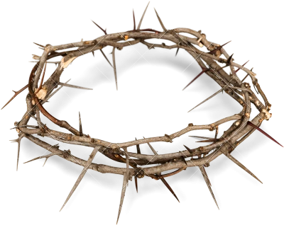 Crown of Thorns Transparent PNG