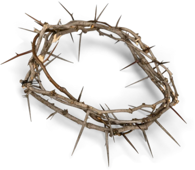 Crown of Thorns Transparent PNG