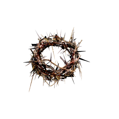 Crown of Thorns Transparent PNG